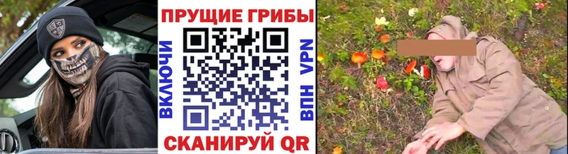 Купить  Среднеуральск  Псилоцибиновые грибы мицелий 
